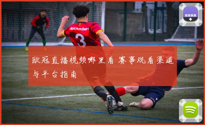 欧冠直播视频哪里看 赛事观看渠道与平台指南